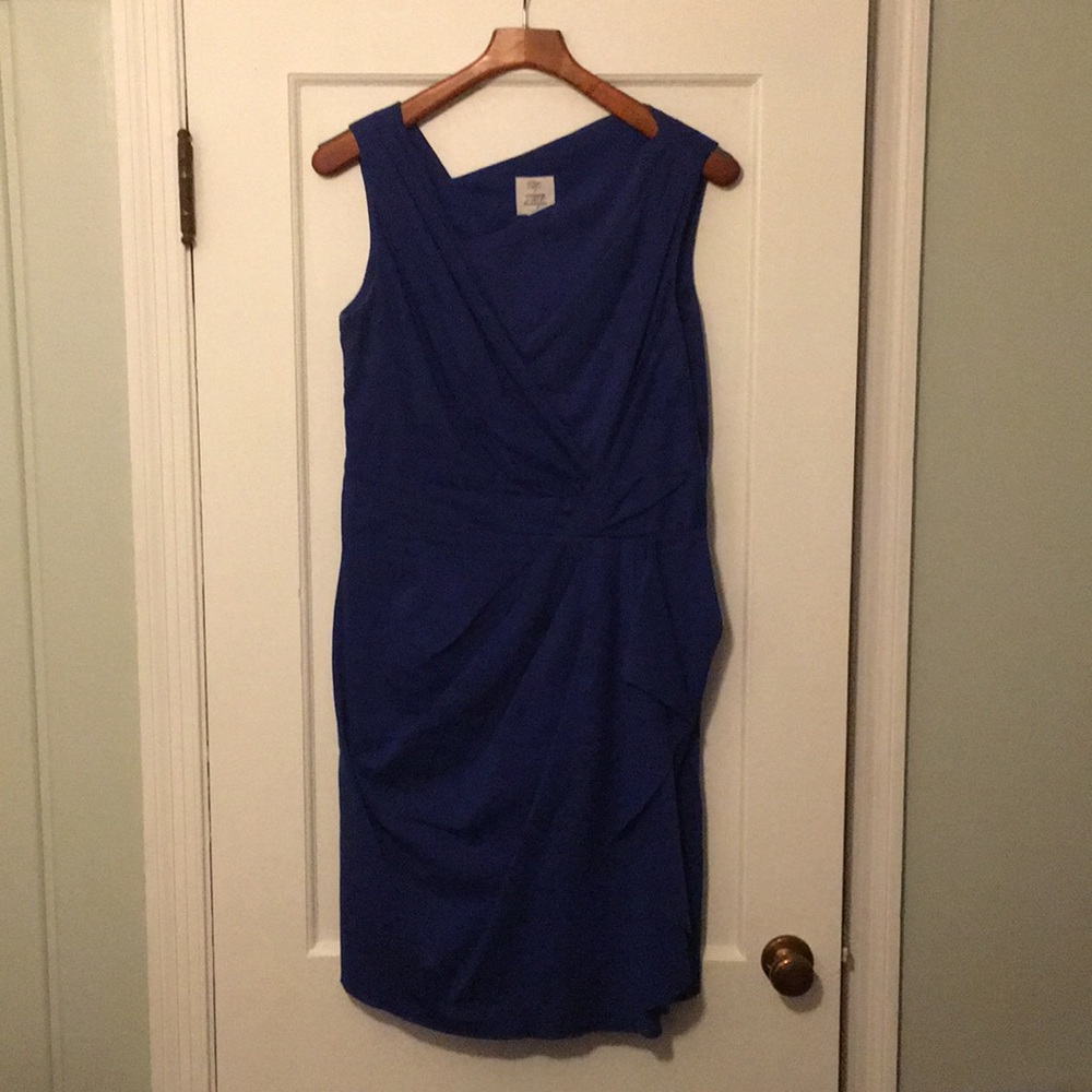 Suzi Chin Dress